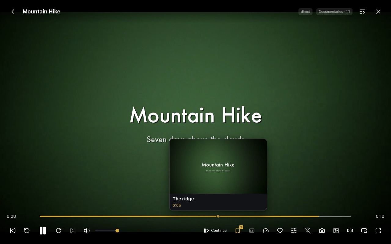 Markers on the timeline with a hovered marker preview